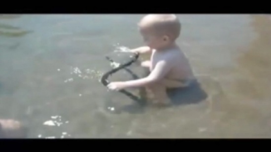 طفل روسي يتخذ من أفعى "الكوبر هيد" لعبة " فيديو "